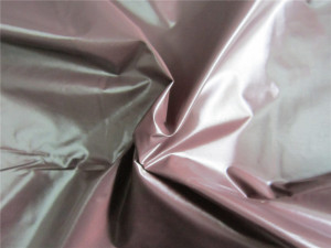 20d Nylon Taffeta Fabric for Down Coat (XSN003)